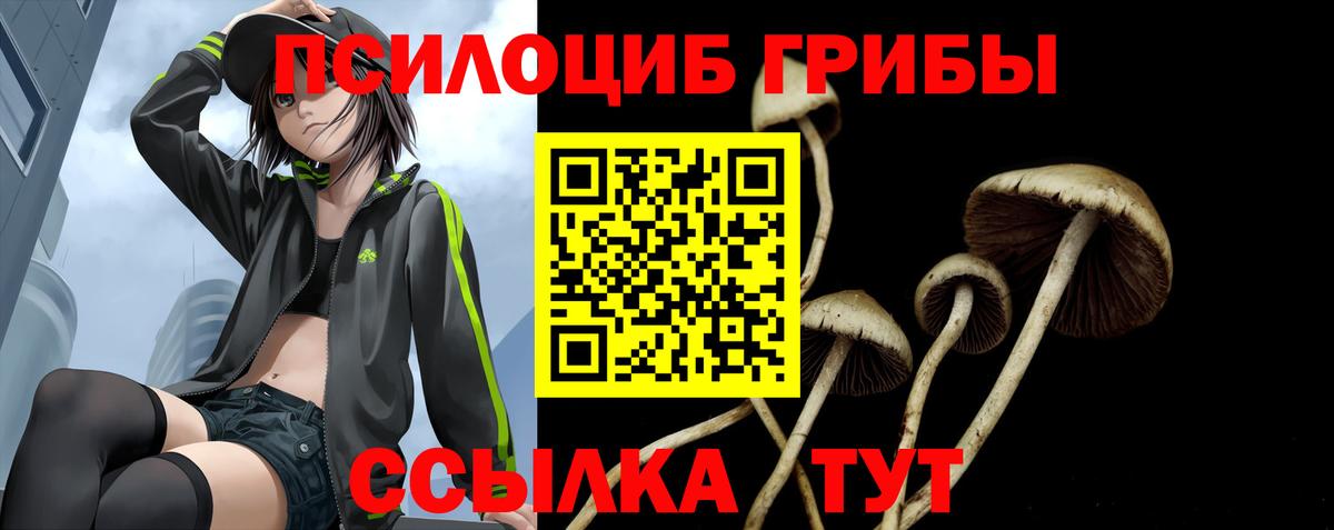 как найти закладки  Псилоцибиновые грибы GOLDEN TEACHER  Вход с VPN  Зеленогорск 